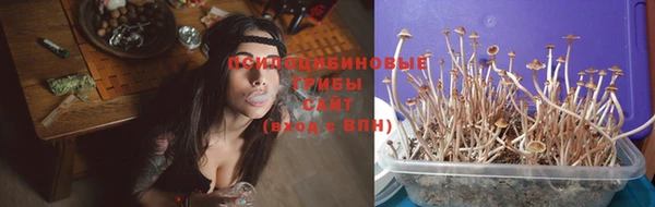 дмт Алзамай