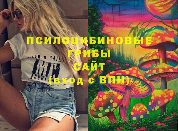 дмт Алзамай