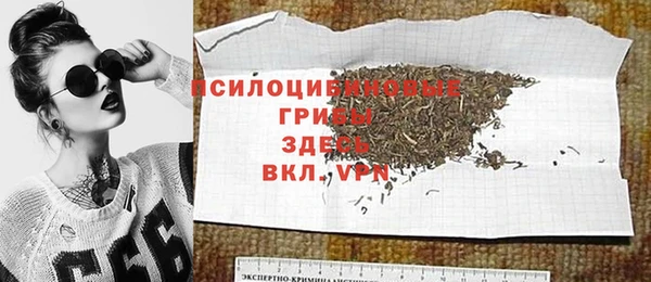 амф Алексин