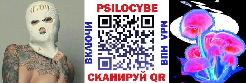 купить наркотик Вилюйск Псилоцибиновые грибы Cubensis
